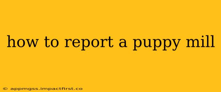 how to report a puppy mill