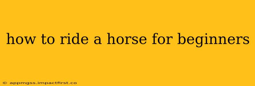 how to ride a horse for beginners