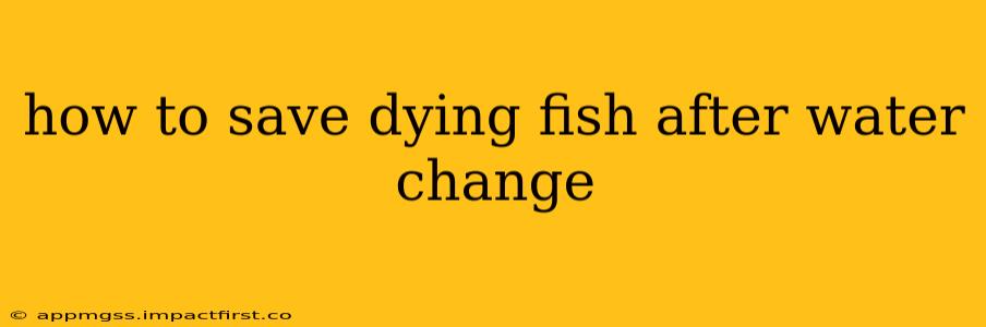 how to save dying fish after water change