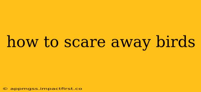 how to scare away birds