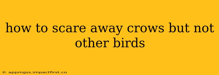 how to scare away crows but not other birds