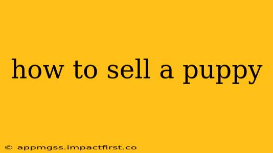 how to sell a puppy