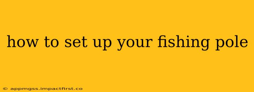 how to set up your fishing pole