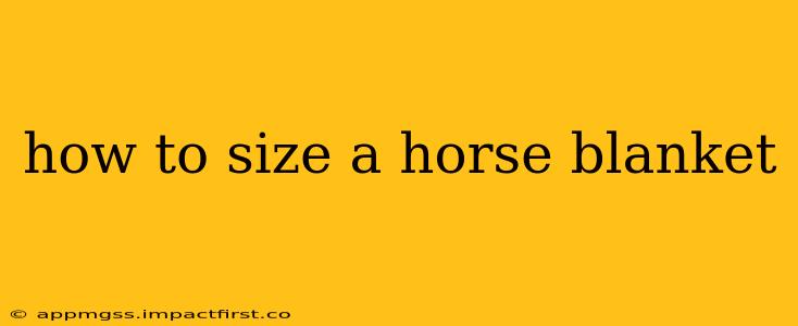 how to size a horse blanket