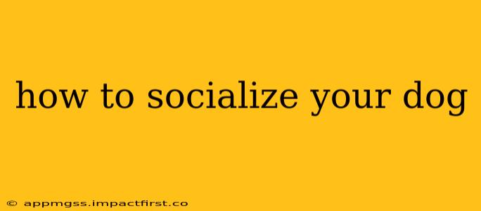 how to socialize your dog