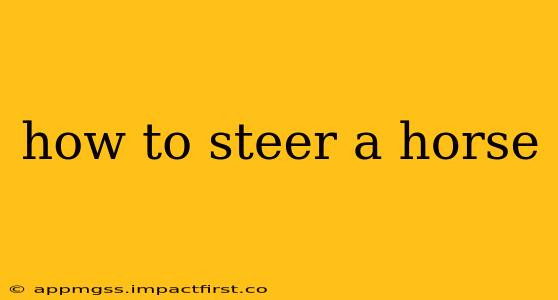 how to steer a horse