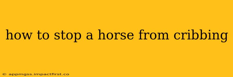 how to stop a horse from cribbing