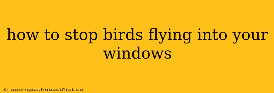 how to stop birds flying into your windows