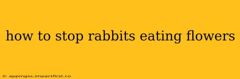 how to stop rabbits eating flowers