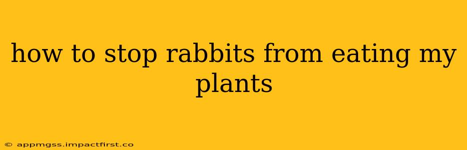 how to stop rabbits from eating my plants