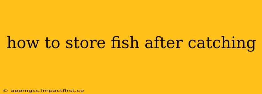 how to store fish after catching