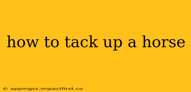 how to tack up a horse