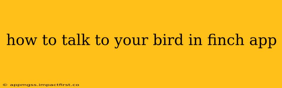 how to talk to your bird in finch app