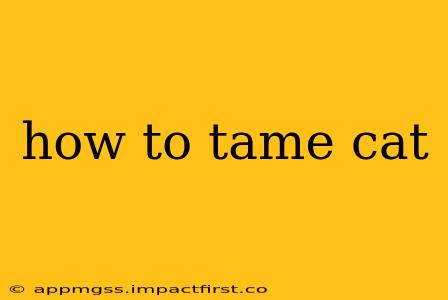 how to tame cat