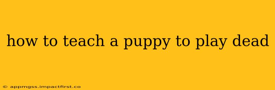 how to teach a puppy to play dead