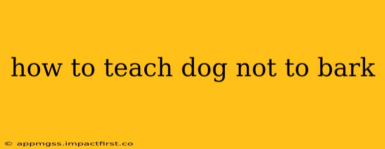how to teach dog not to bark