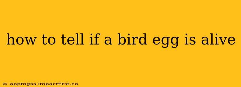 how to tell if a bird egg is alive