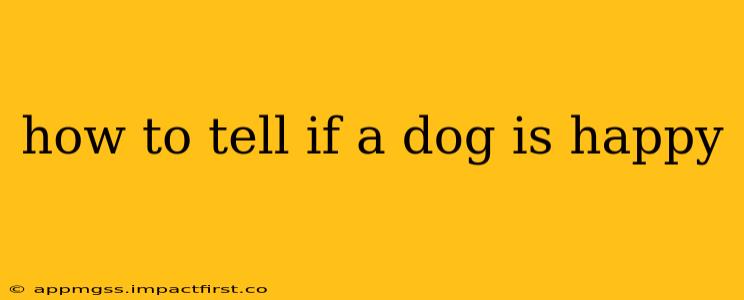 how to tell if a dog is happy