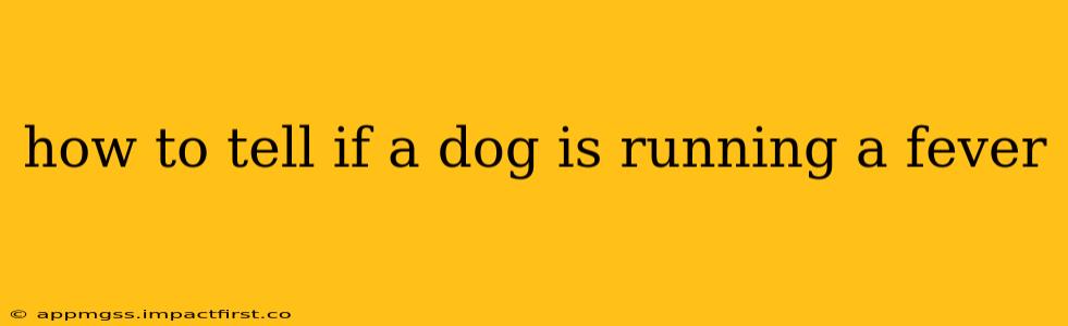 how to tell if a dog is running a fever