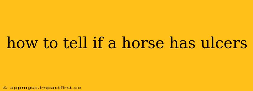 how to tell if a horse has ulcers