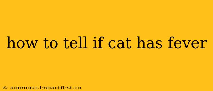 how to tell if cat has fever