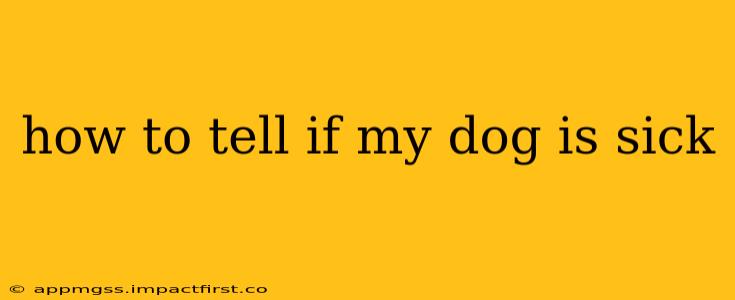 how to tell if my dog is sick