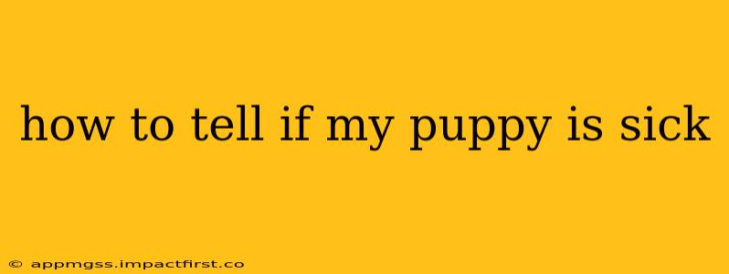 how to tell if my puppy is sick