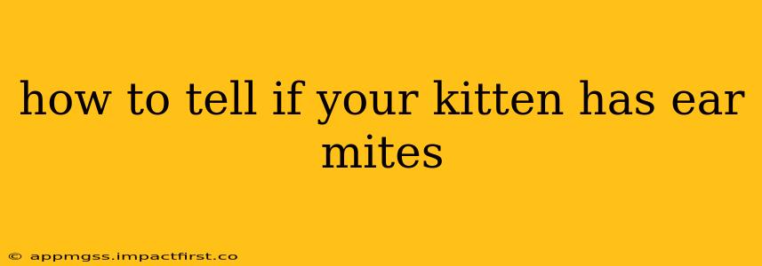 how to tell if your kitten has ear mites