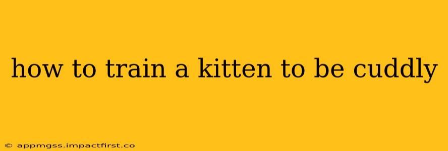 how to train a kitten to be cuddly