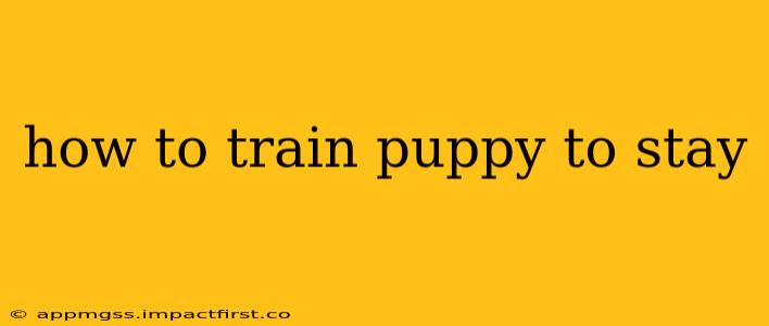 how to train puppy to stay