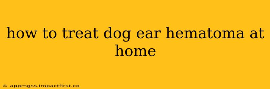 how to treat dog ear hematoma at home