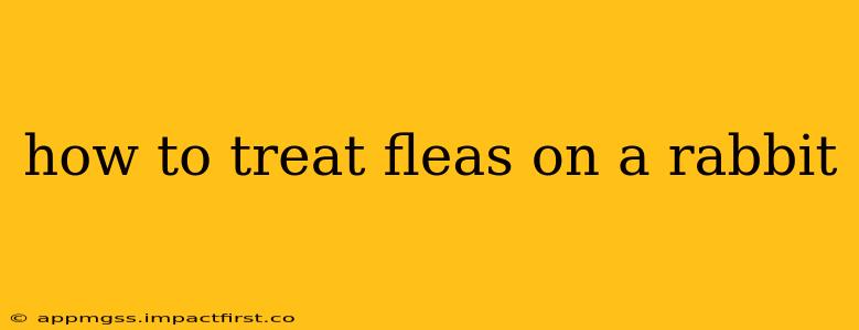 how to treat fleas on a rabbit