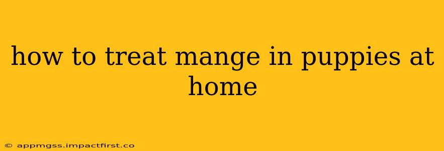 how to treat mange in puppies at home