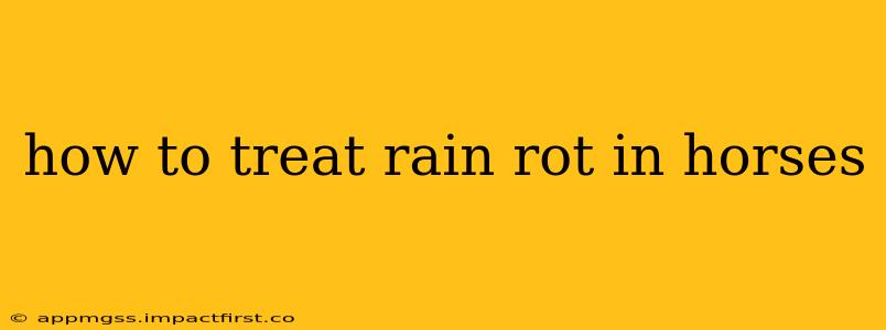 how to treat rain rot in horses