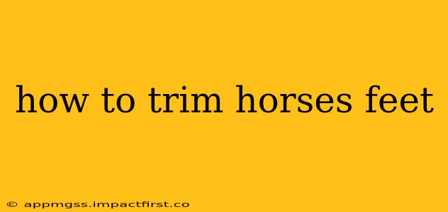 how to trim horses feet