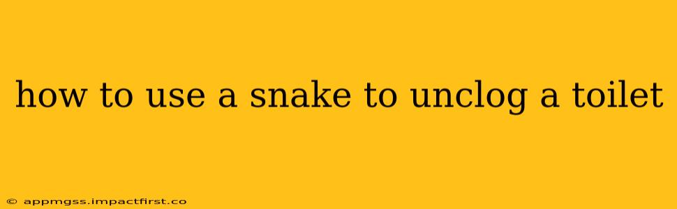 how to use a snake to unclog a toilet
