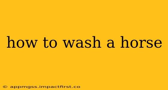 how to wash a horse