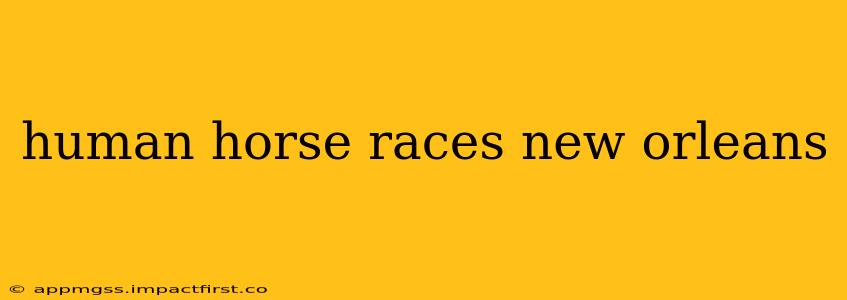 human horse races new orleans