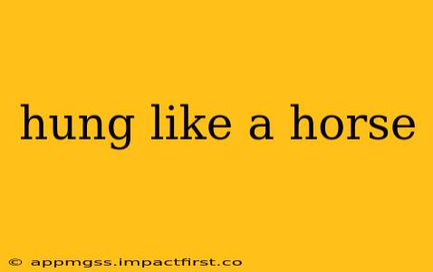 hung like a horse