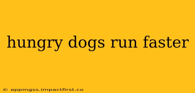 hungry dogs run faster