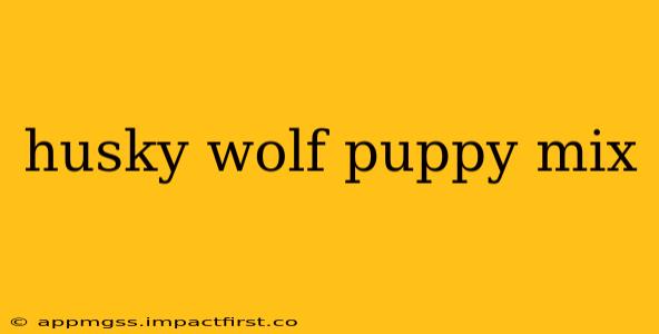 husky wolf puppy mix