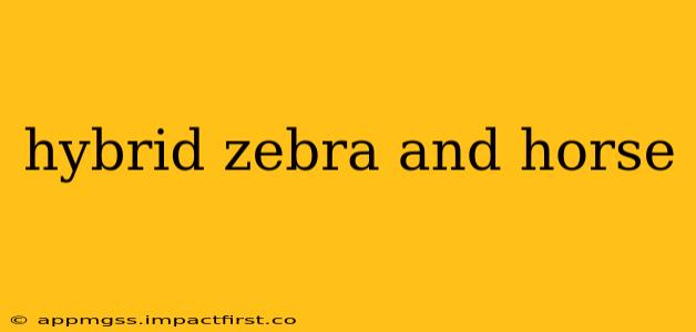 hybrid zebra and horse