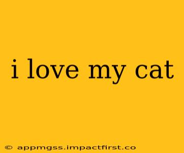 i love my cat