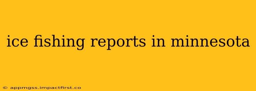 ice fishing reports in minnesota