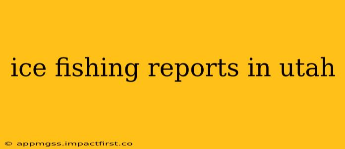 ice fishing reports in utah