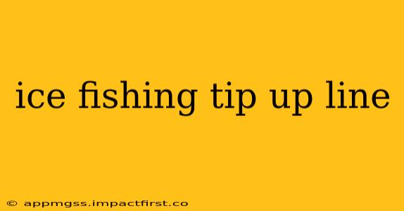 ice fishing tip up line
