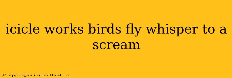 icicle works birds fly whisper to a scream