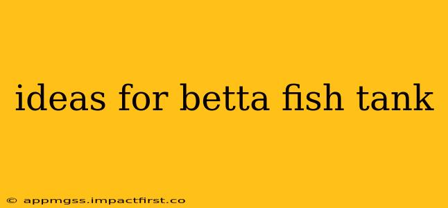ideas for betta fish tank