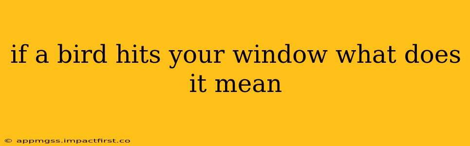 if a bird hits your window what does it mean