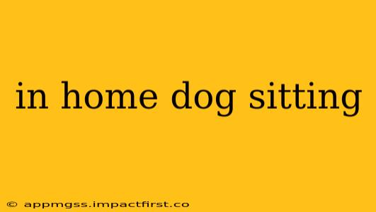 in home dog sitting